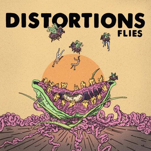 Cover art for Flies